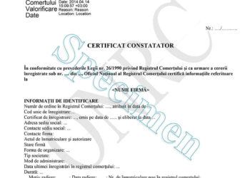Obtine un Certificat Constatator Online