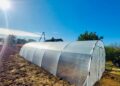 Când curtea devine refugiu – povestea unui solar de grădină care a schimbat rutina unei familii
