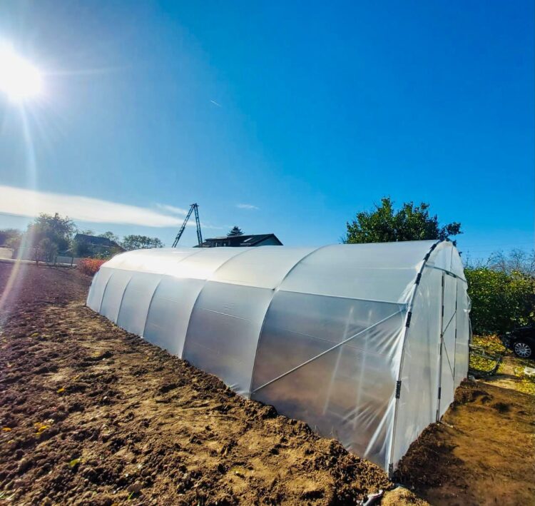 Când curtea devine refugiu – povestea unui solar de grădină care a schimbat rutina unei familii