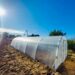 Când curtea devine refugiu – povestea unui solar de grădină care a schimbat rutina unei familii